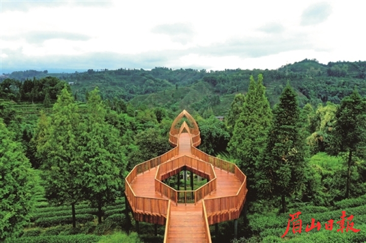 采用高強度竹基纖維復合材料“竹鋼”制作的茶客空間“一葉一芽”觀景平臺。 謝靜 攝