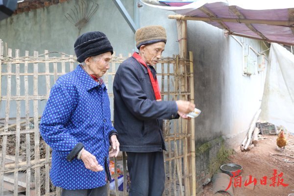 呂從安和向玉珍一起喂雞。