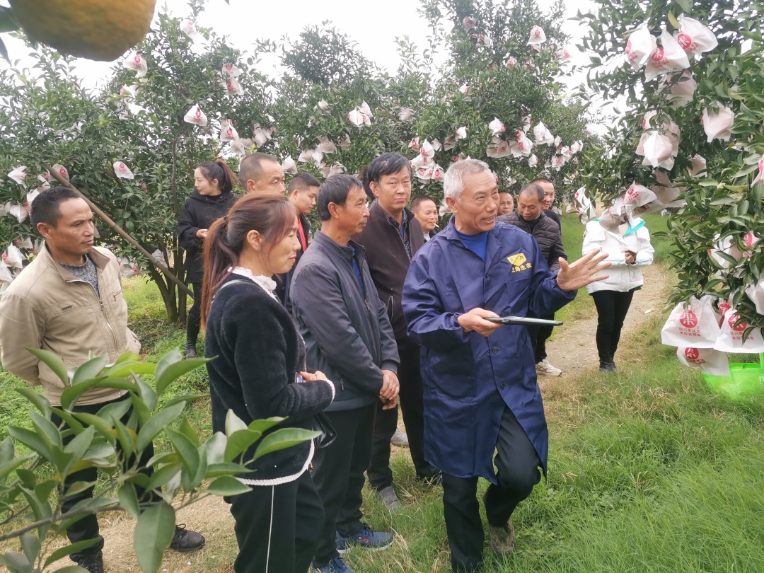 汪小川來到果園解決果農遇到的難題。.jpg