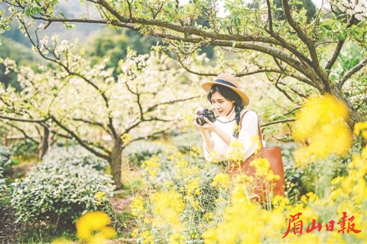 美麗鄉村惹人醉。