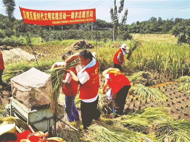 助農志愿活動。（資料圖片）
