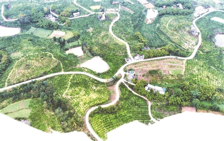 四通八達的鄉村公路。