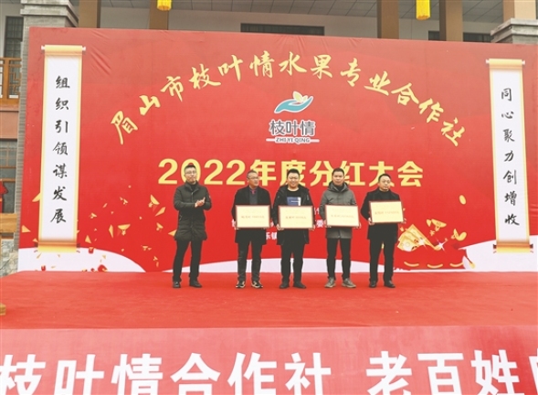 村集體經濟在分紅中得到壯大。