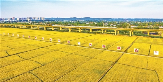 眉山市東坡區永豐村天府糧倉。侯建明 攝
