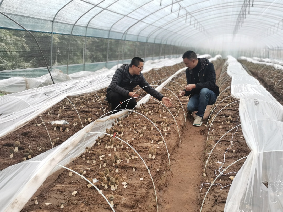 何斌（左）為業主提供技術指導.jpg