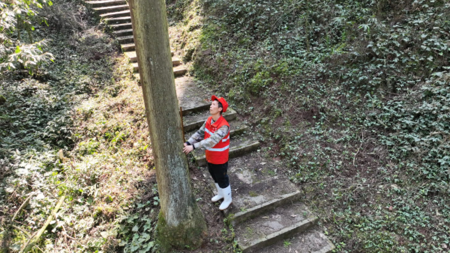 余紅林在巡山。