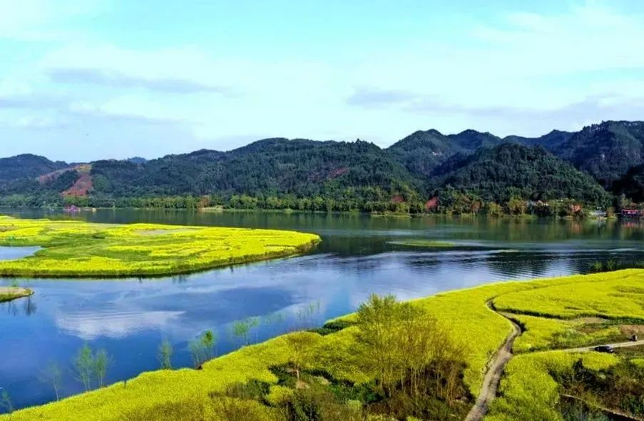 青神活動(dòng)報(bào)名配圖.png