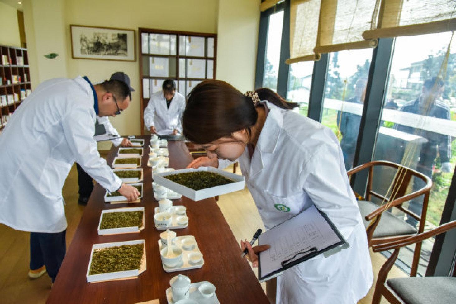 評委評選茶葉品質。
