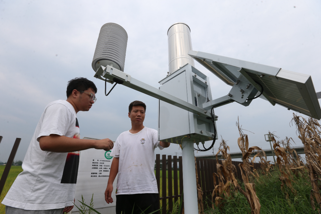 8月14日，"科技小院"的研究生楊永剛和同學彭政菠在檢查土壤監測設備。