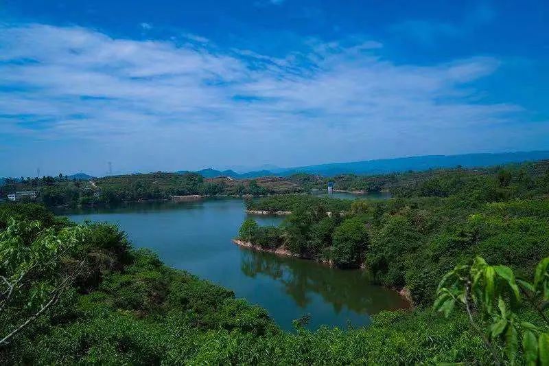  桂香村。（圖源丹棱發(fā)布）