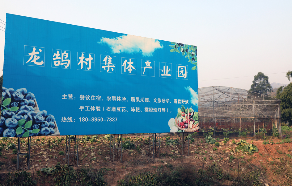  龍鵠村集體經濟產業園。