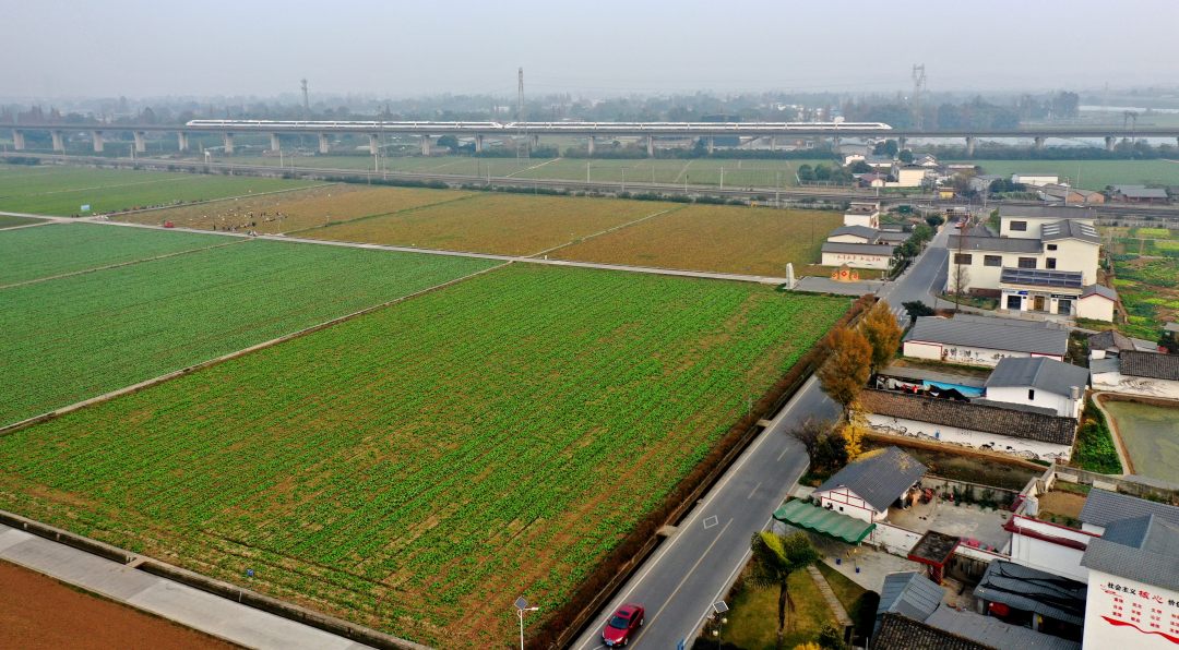 12月26日，動(dòng)車行駛在永豐村高標(biāo)準(zhǔn)農(nóng)田上的高鐵上。.jpg