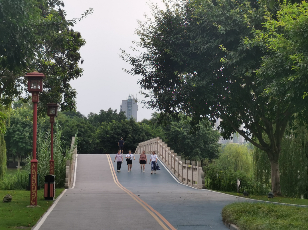  市民在東坡城市濕地公園散步。