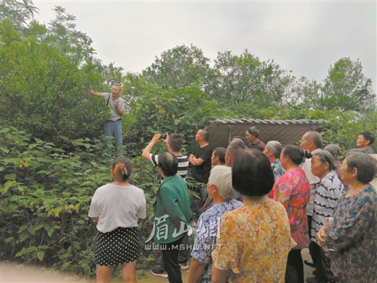 農技專家現場指導果樹栽培技術。.jpg