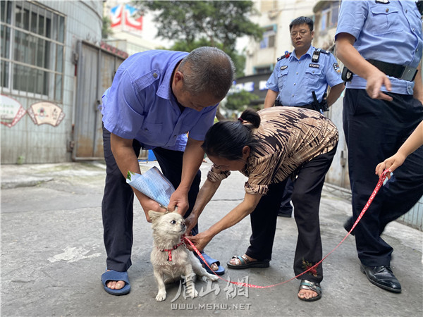 市民在蘇祠派出所民警的勸導下，迅速為自家敞放犬拴上牽引繩。