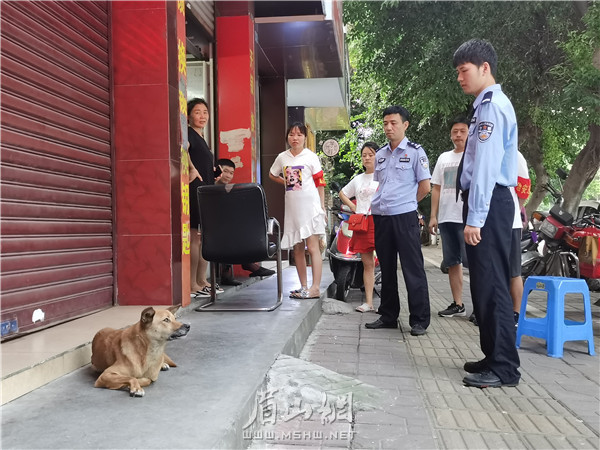 紫竹派出所民警對市民不拴狗繩的行為進行勸誡。