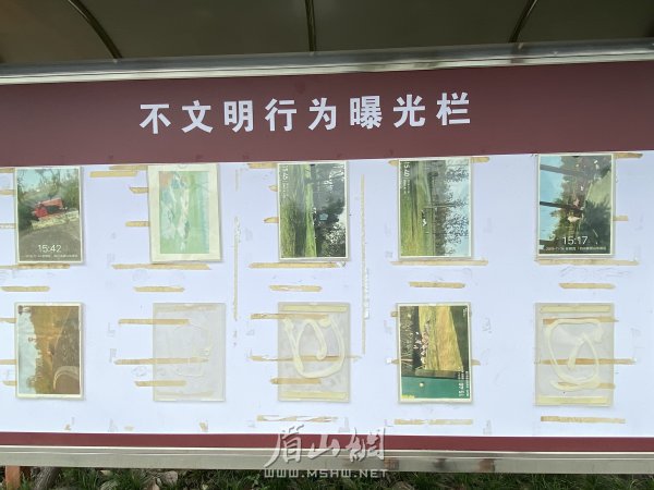 不文明行為曝光欄上照片陳舊。